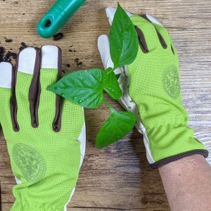 GANTS DE JARDINAGE EXTENSIBLES