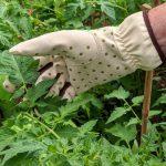 GANTS DE JARDINAGE EXTENSIBLES